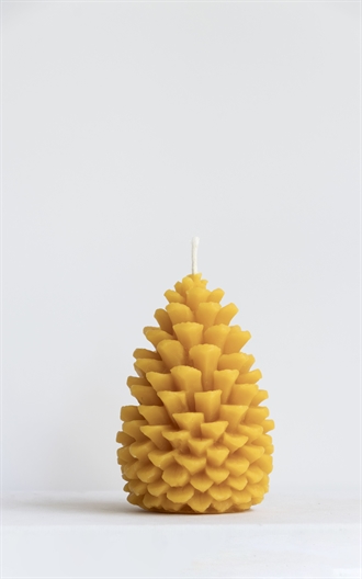 Dipam, bivokslys<br />Grankogle 5,6 x 10 cm, 4 lys